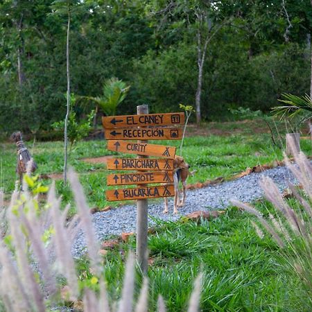Nativo Glamping Barichara Exterior foto